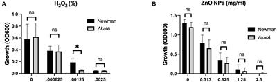 Zinc oxide nanoparticles mediate bacterial toxicity in Mueller-Hinton Broth via Zn2+